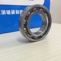 供應6007深溝球軸承