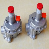 pietro fiorentini燃氣減壓閥30161 30162菲奧