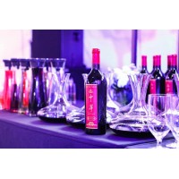 中豐投資與北京龍徽簽署戰略合作，預計3年共謀上市