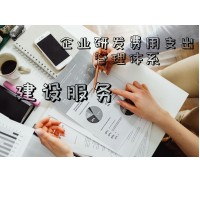 企業研發費用支出管理體系建設服務