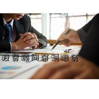 科技、工業類投資顧問策劃服務