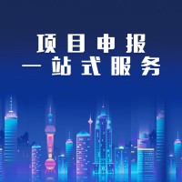 專精特新企業申報 一站式服務