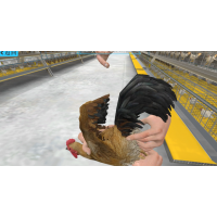 元宇宙科普教育培訓平臺，蘇州vr消防演練軟件廠商，深圳華銳視點