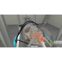 牛手術vr模擬體驗軟件，獸醫臨床科目實驗教學，深圳華