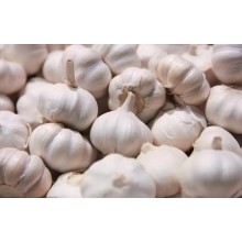 青島港大蒜出口商檢清關我們來幫您解