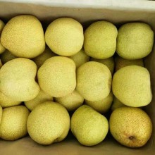 青島港鮮梨出口清關商檢我們來幫您完成