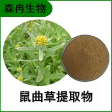 森冉生物 鼠曲草提取物 貓耳朵草提取物 比例提取原料粉