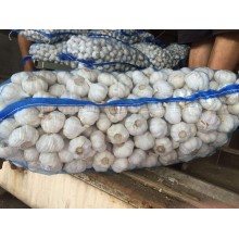 大蒜出口印尼應該怎么操作，青島港大