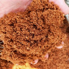 青島港椰糠進口清關步驟和注意事項，椰糠應該怎么進口