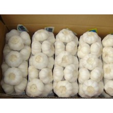 大蒜出口清關商檢，金鄉大蒜怎么出口到東南亞