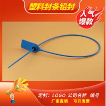 鉛封煤炭礦物運(yùn)輸塑料封條卡扣
