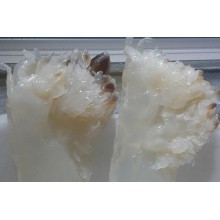 青島港海蜇進口清關，東南亞海蜇進口