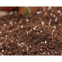 進(jìn)口俄羅斯泥炭怎么清關(guān)，青島港泥炭進(jìn)口清關(guān)步驟