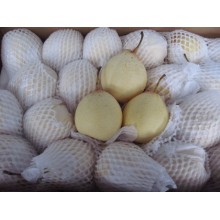 水果出口商檢清關注意事項，青島港水果出口代理報關報檢代理