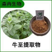 森冉生物 牛至提取物 土香薷提取物 