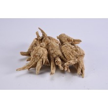 廣新參業西洋參批發-批發價格 源之寶加拿大進口西洋參 精選圓叢3g-10g