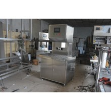 20L軟袋包裝灌裝機(jī)塑料袋灌裝機(jī)軟袋灌裝設(shè)備