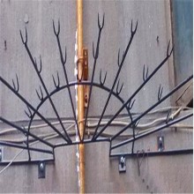 供應窗戶戶外防爬刺 不銹鋼防爬刺廠家批發