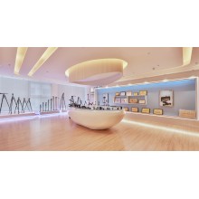 勁捷P056C海燕系列碳纖維三腳架 勁捷三腳架品牌廠家 可批發定制