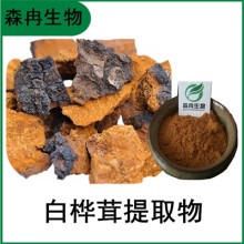 森冉生物 白樺茸提取物 樺褐孔菌提取