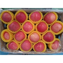 蘋果出口清關商檢應該怎么辦理，蘋果