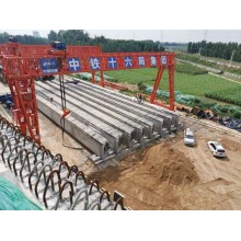 四川涼山龍門吊出租廠家 龍門吊應用氣動葫蘆的優勢