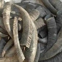 非洲牛角進(jìn)口清關(guān)單證，非洲牛角怎么進(jìn)口？