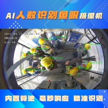升降機AI人數(shù)識別魚眼攝像頭 智能分析攝像機 2k高清畫質(zhì) 博瓦v03