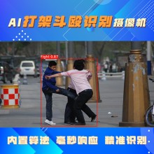 博瓦科技 打架斗毆智能監測系統 算法定制 用于安全預