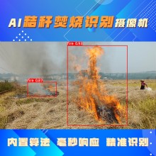 博瓦科技 秸稈焚燒監(jiān)控攝像機智能監(jiān)測預(yù)警 AI智能秸稈焚燒識別攝