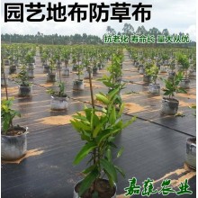 防草布專業生產各種規格型號地布防草