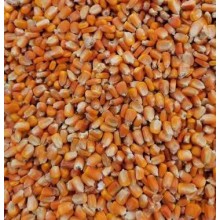 進口玉米報關的準備材料概述