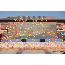 西安提供啟動道具 演出節目 開場舞蹈 古箏獨奏 開工儀式