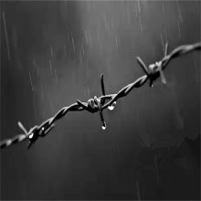 廣西現貨雙股刺繩廠家供應北海鐵蒺藜隔離梧州鍍鋅帶刺鐵絲網