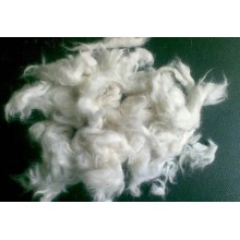 青島進口羊毛報關(guān)的幾點建議