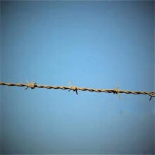 浙江現貨包塑刺繩廠家供應杭州鋼絲防爬防盜網寧波帶刺鋼絲網