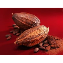 青島進口可可豆報關需要的材料