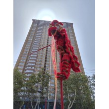 西安豐金銳開業慶典 活動主持 節日慶典 舞獅 啟動球 