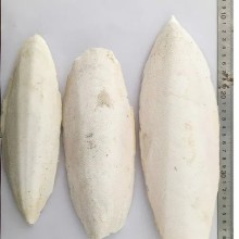 墨魚骨進(jìn)口清關(guān)代理，為您詳解清關(guān)流程