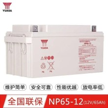 婁底湯淺蓄電池NP65-12湯淺12V65AH免維護(hù)鉛酸蓄電池UPS電源