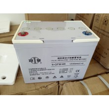 湖南雙登蓄電池UPS蓄電池12V-65AH鉛酸免維護蓄電池直流屏