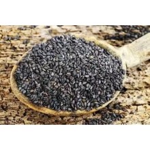 尼日利亞芝麻進(jìn)口報(bào)關(guān)哪個港口更加便捷