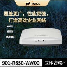 RUCKUS優科r650教室和零售場所專用wifi6路由器Ruckus 