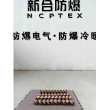 新合防爆活接頭
