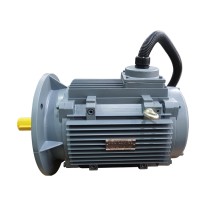 造雪機專用驅動馬達IE3-160L-2-18.5kW零下溫度啟動異步電動機定制