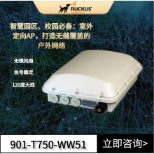 Ruckus戶外AP 優科901-T750-WW51室外