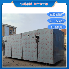 低溫冷凍干燥機 全自動真空干燥機 寵物食品凍干機