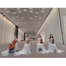 提供西安樂隊演出，主持人，舞獅演出，沙畫慶典，泡泡