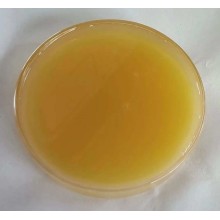 蘇州生物表面活性劑鼠李糖脂批發