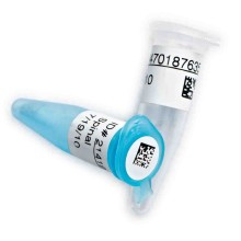 低溫冷凍液氮標簽